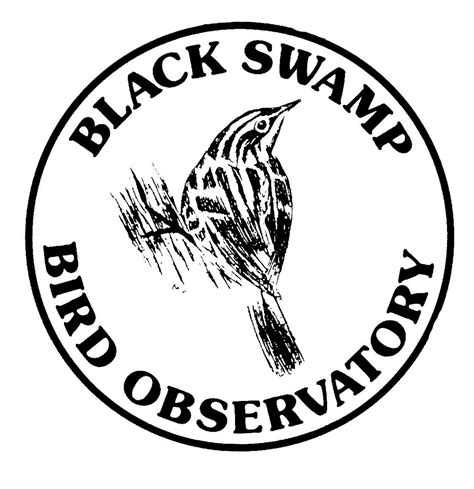 black swamp bird observatory website
